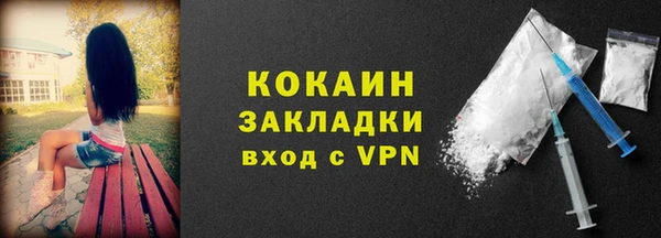 дмт Дмитров