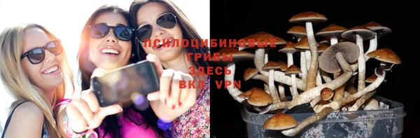 круглые Дмитровск