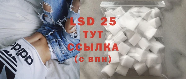 альфа пвп Гусев
