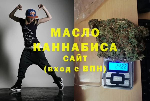 дмт Дмитров