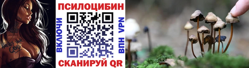 Купить закладки  Руза  Галлюциногенные грибы ЛСД 